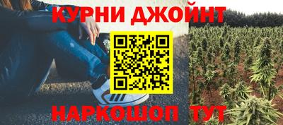 амф Обь