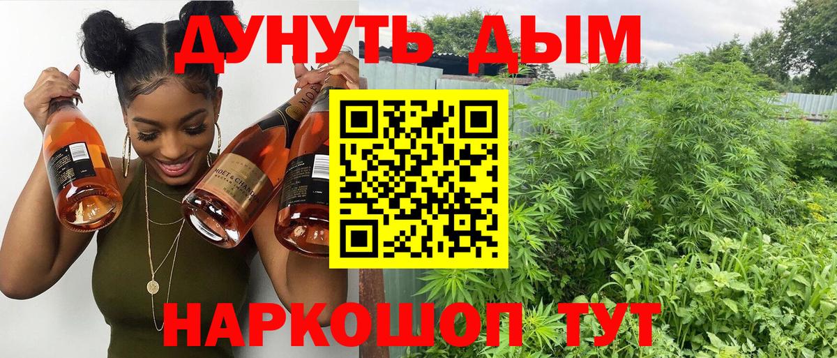 Каннабис марихуана Сокол
